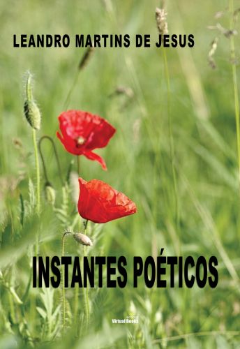 Capa: INSTANTES POÉTICOS