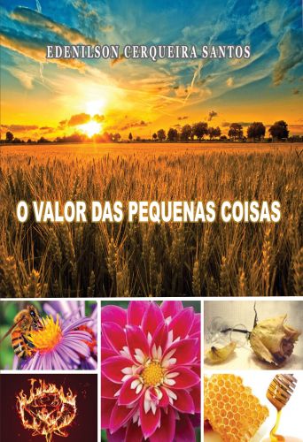 O VALOR DAS PEQUENAS COISAS: Uma obra revelada por Deus e você vai ser impactado com os mistérios revelados