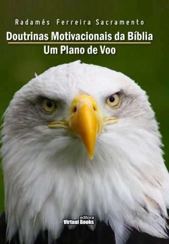 DOUTRINAS MOTIVACIONAIS DA BÍBLIA – UM PLANO DE VOO