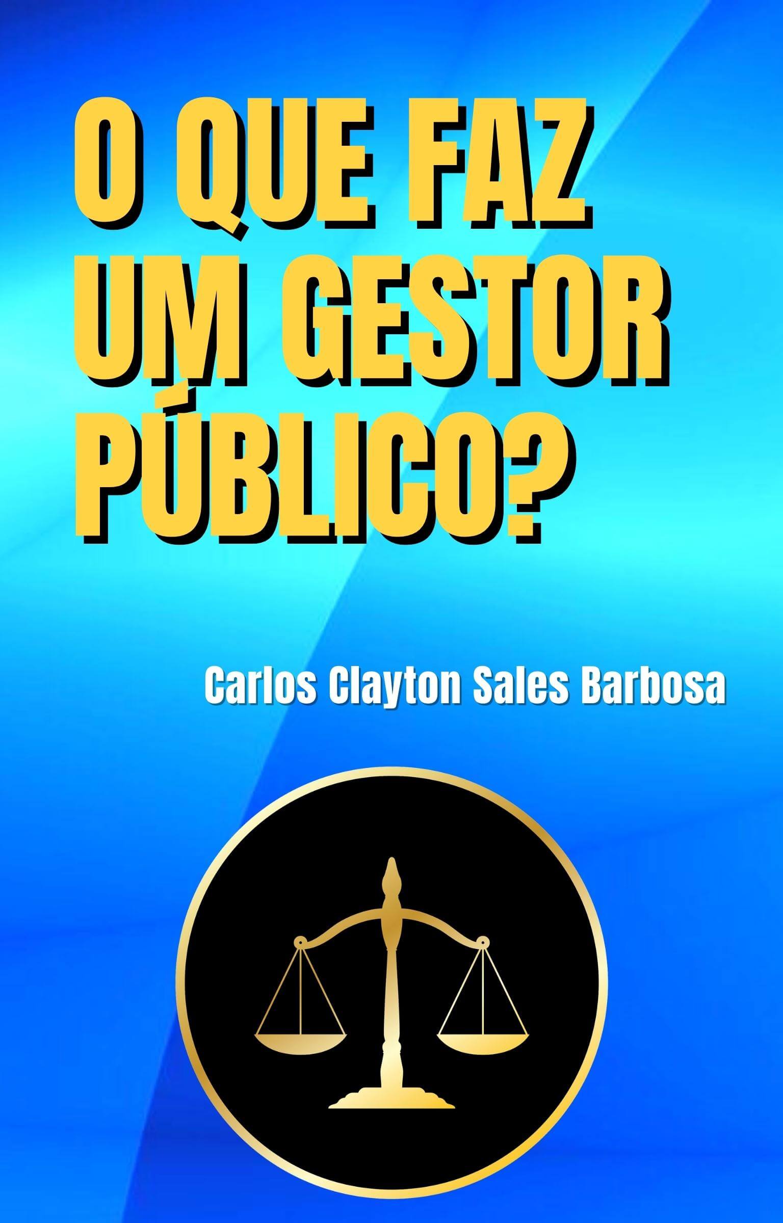 Capa: O QUE FAZ UM GESTOR PÚBLICO?